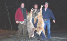 Successful Coyote Hunt