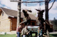 Moose Huntng